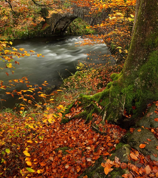 Lake District in Autumn ~ Landscapes & Red Squirrels …