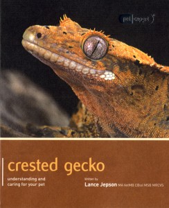 Crested gecko Pet Expert