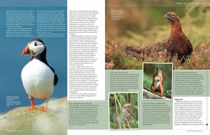 Digital Photography Enthusiast ~ March 2012