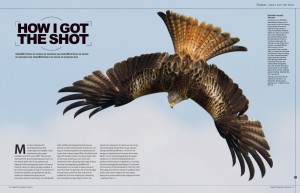 Digital Photography Enthusiast ~ August 2012