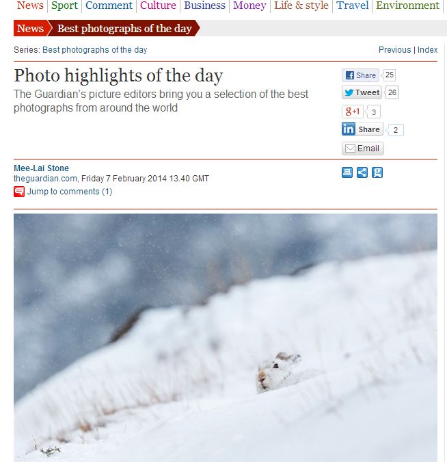 Photo highlights of the day – The Guardian