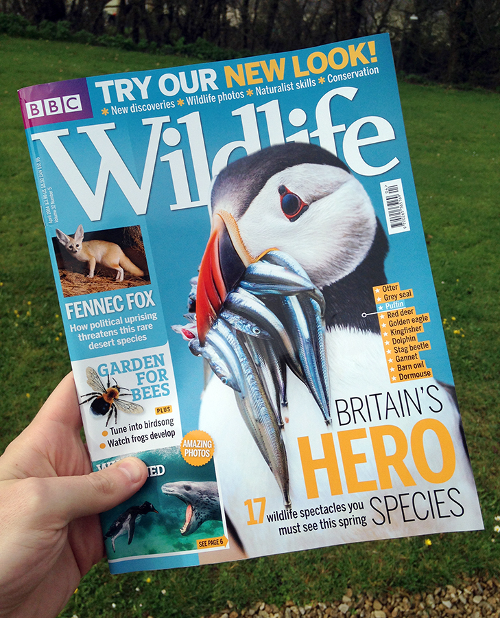 BBC Wildlife Magazine Front Cover! April 2014