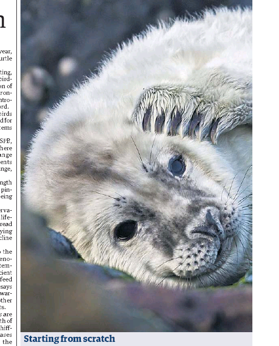The Guardian – 16th October 2014