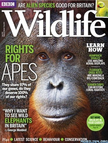 BBC Wildlife Magazine – June 2015