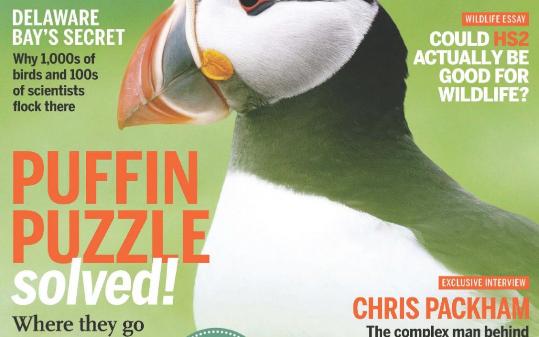 BBC Wildlife – May 2016