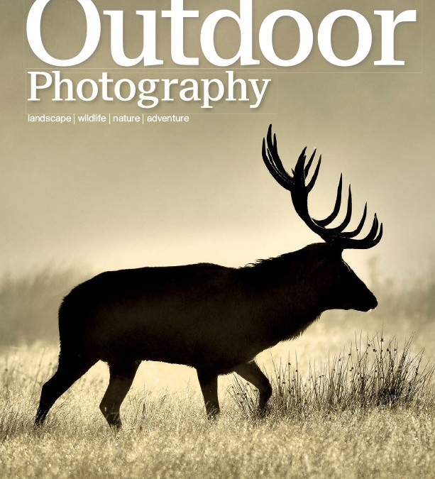 Outdoor Photography – November 2016