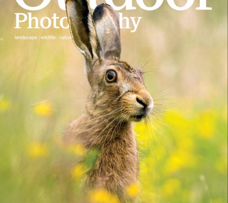 Outdoor Photography – April 2017