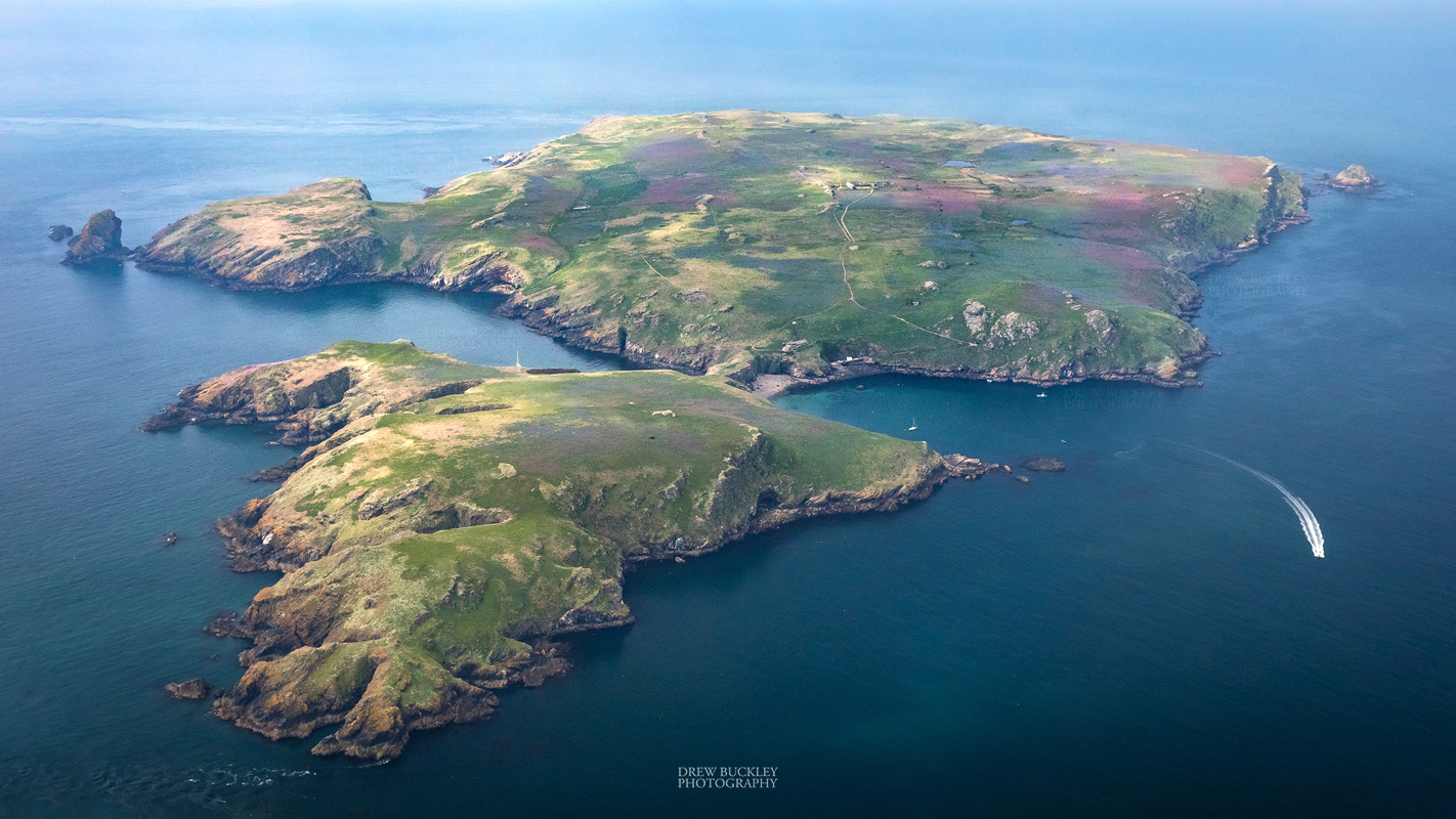 An island off the coast. Пембрукшир Уэльс. Skomer Island. Острова Калди Пембрукшир. Пембрукшир ЭНГЛ.