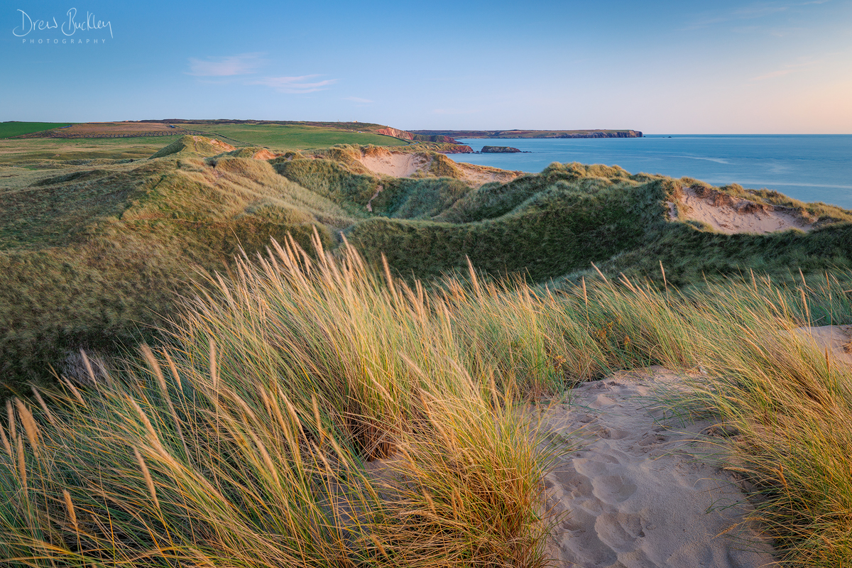 Freshwater West Dunes