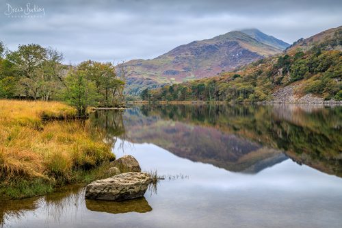 Llyn Gwynant Autumn