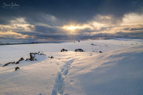 Golden Road - Winter