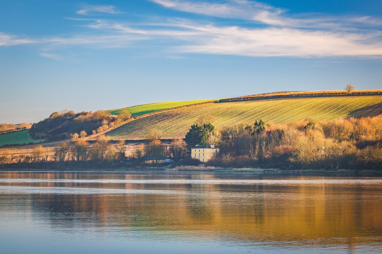 DrewBuckleyPhotography_CLG_2025_004