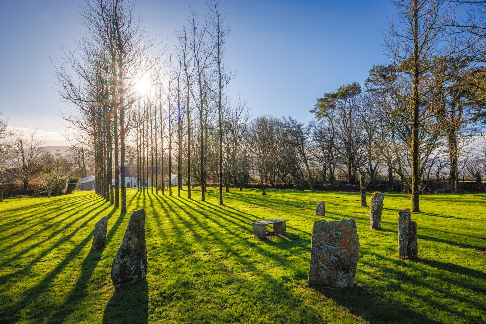 DrewBuckleyPhotography_CLG_2025_015