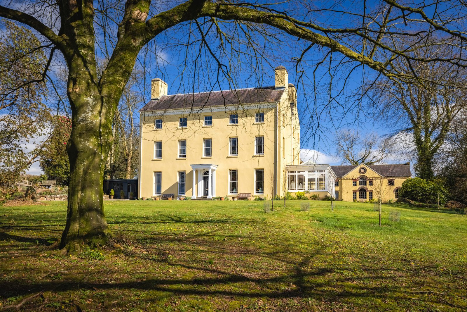 DrewBuckleyPhotography_CLG_2025_019