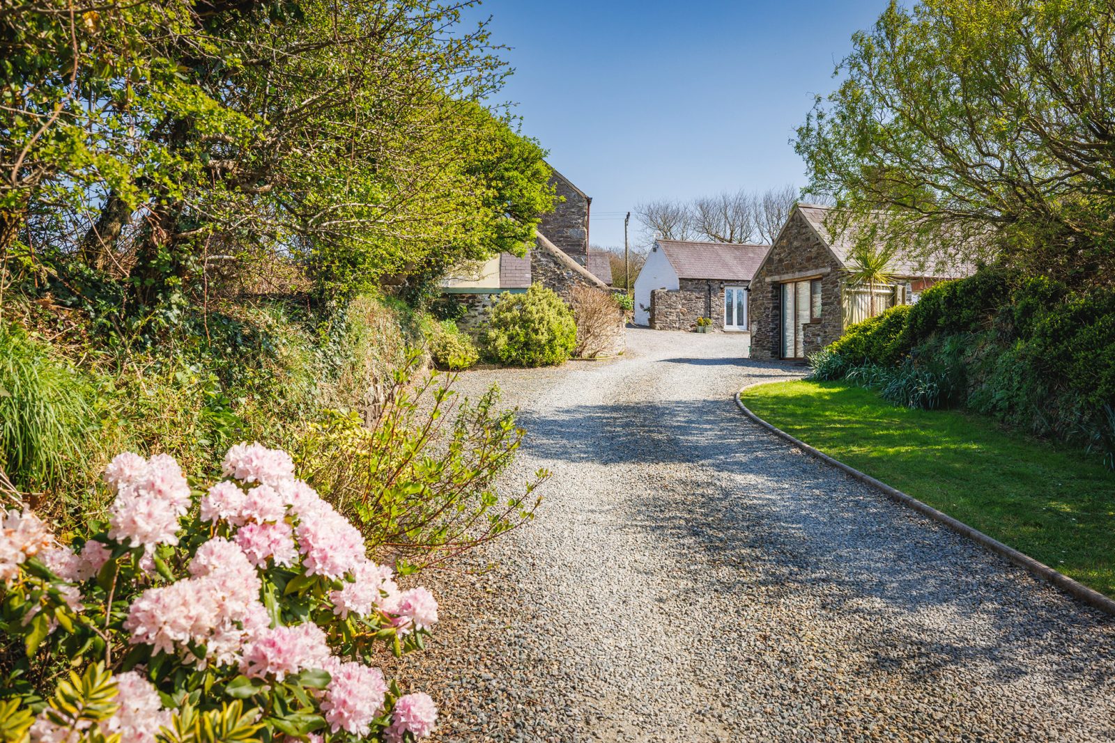 DrewBuckleyPhotography_CLG_2025_026