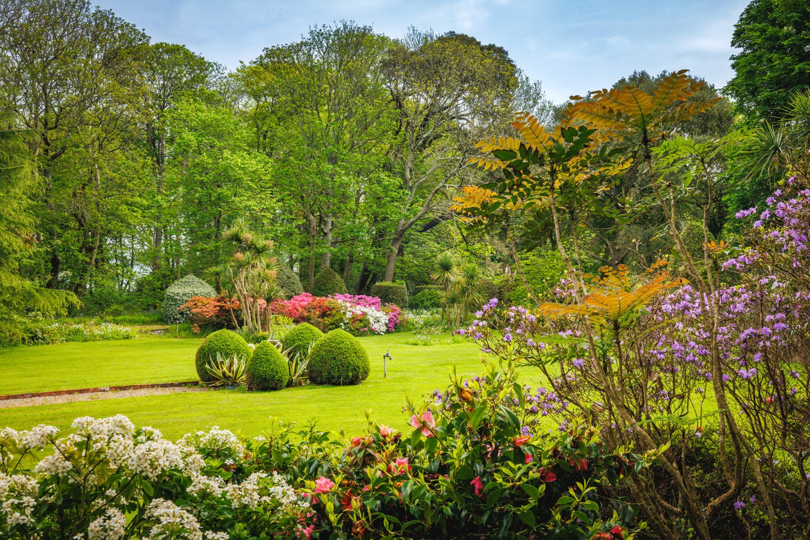 DrewBuckleyPhotography_CLG_2025_039