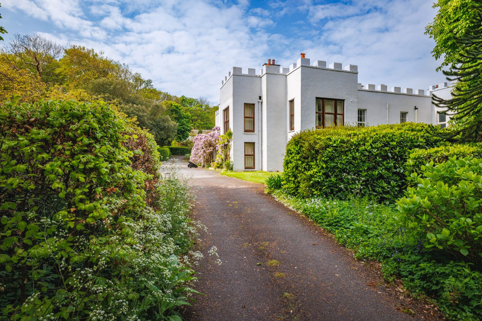 DrewBuckleyPhotography_CLG_2025_040