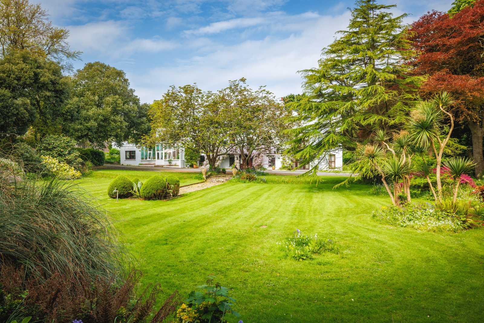 DrewBuckleyPhotography_CLG_2025_041