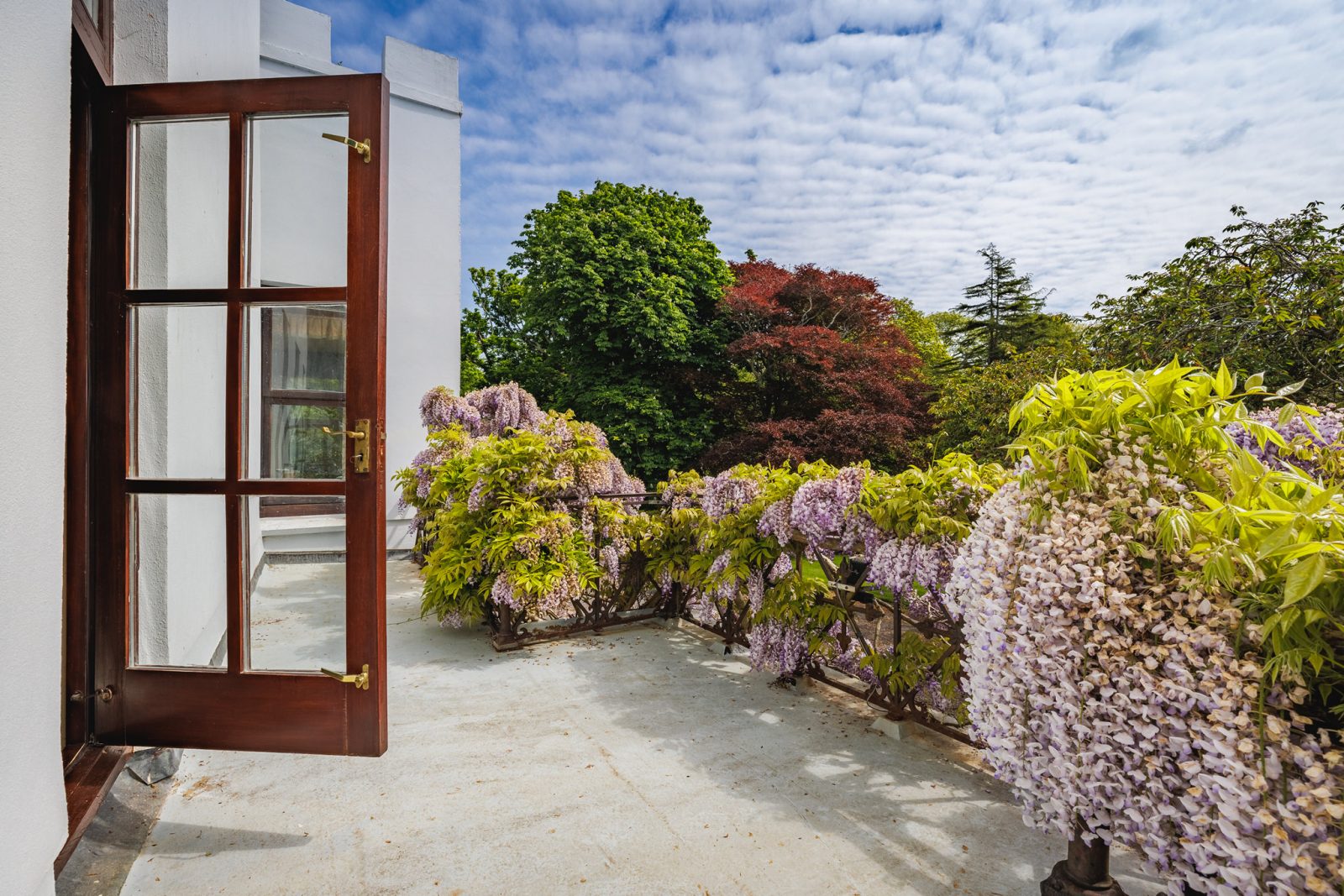 DrewBuckleyPhotography_CLG_2025_052