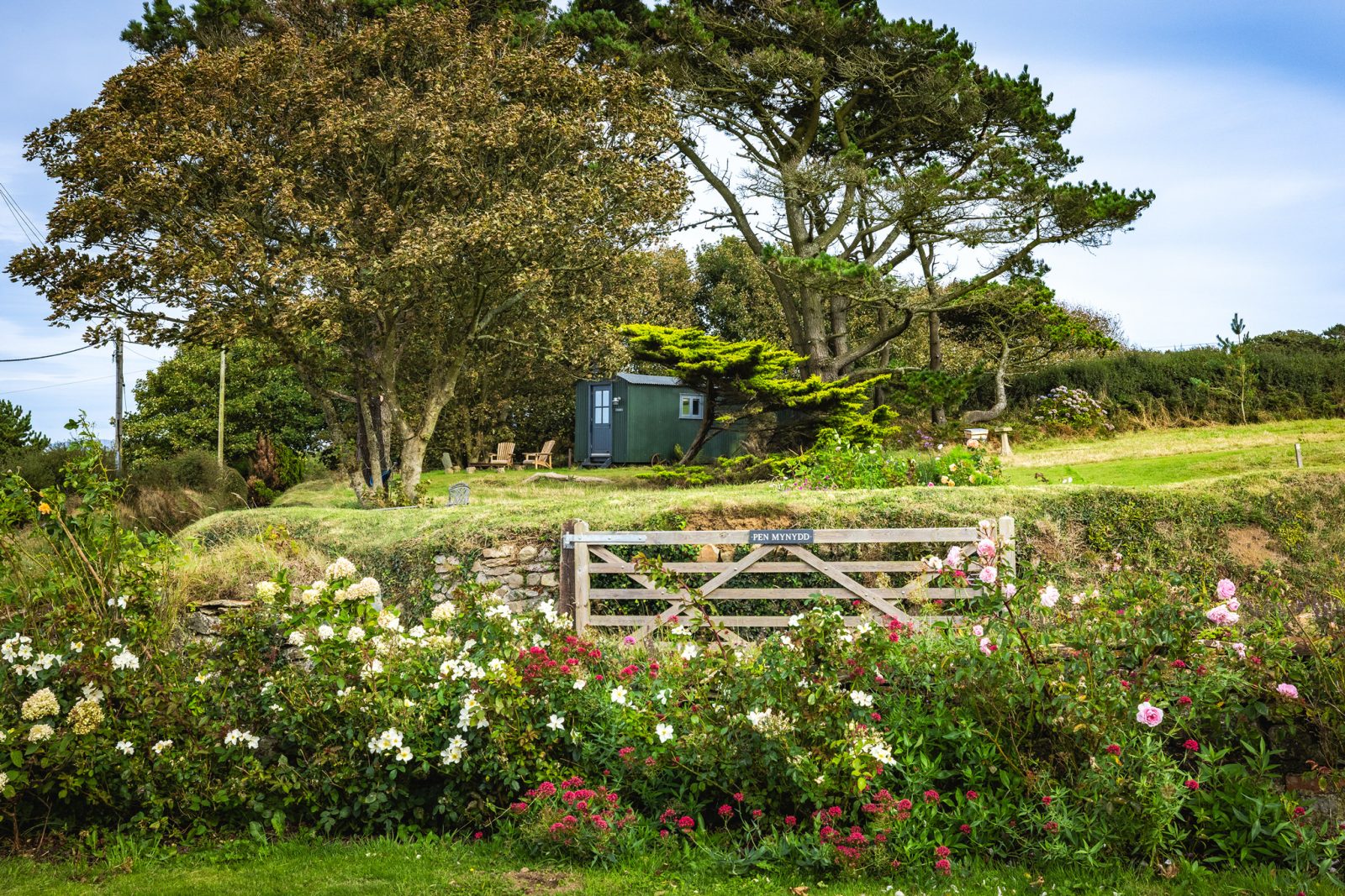 DrewBuckleyPhotography_CLG_2025_103