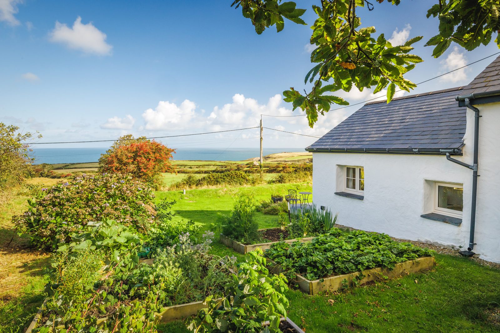 DrewBuckleyPhotography_CLG_2025_110