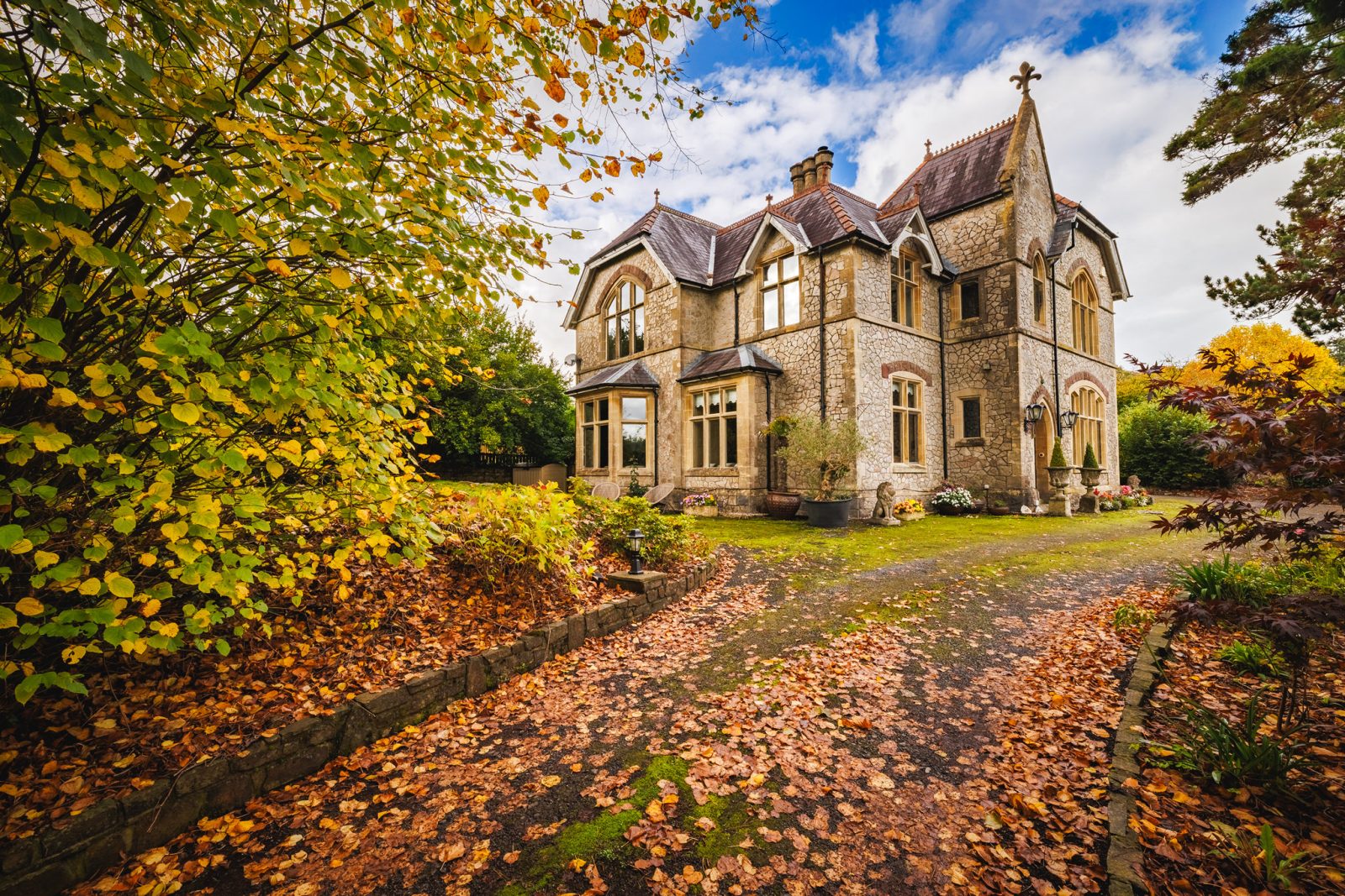 DrewBuckleyPhotography_CLG_2025_126