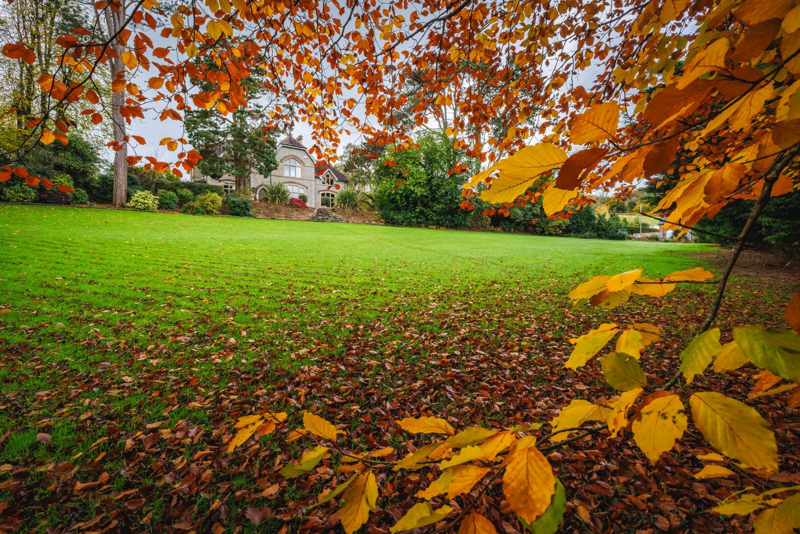 DrewBuckleyPhotography_CLG_2025_127