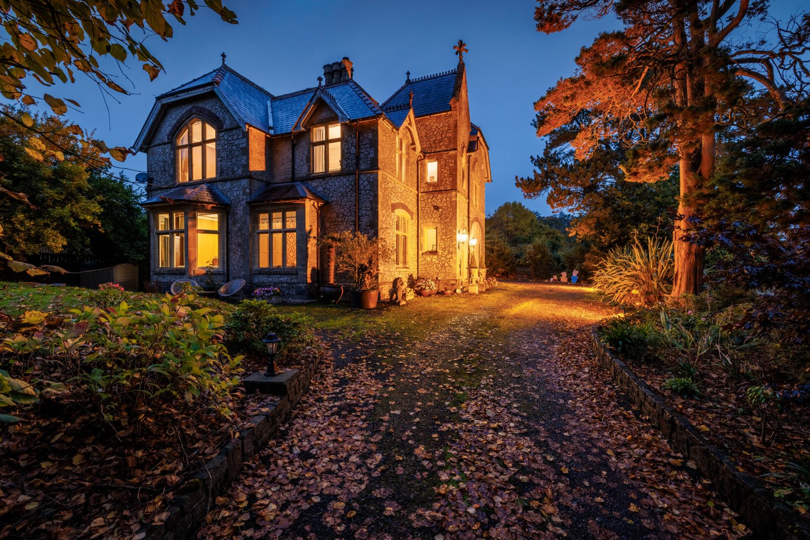 DrewBuckleyPhotography_CLG_2025_131