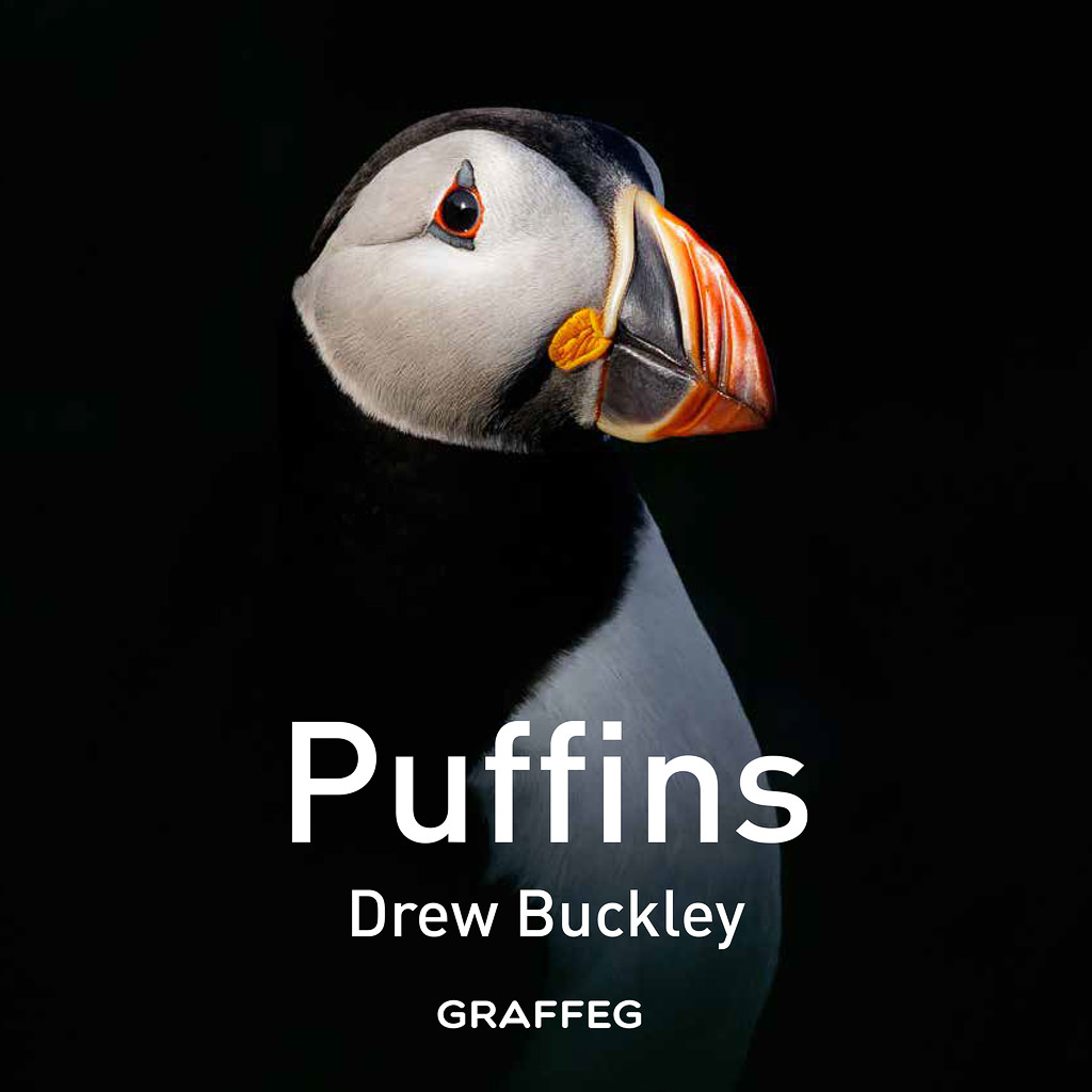 Puffins – Book